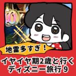 地雷多すぎ！イヤイヤ２歳と行くディズニー旅行【9】